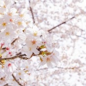 一緒に盛り上げましょう！！！