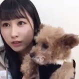 『[動画]2019.01.04（11:23～） SHOWROOM　「=LOVE(イコールラブ) 山本杏奈」＠個人配信』の画像