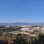 うちのとらまる