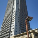 向運への道：散策でストレス解消