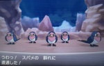 【ポケモンXY】【急募】スバメとグライオンを出してくるトレーナー