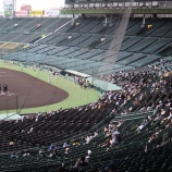 『中日の初勝利を甲子園で見届けた。』の画像