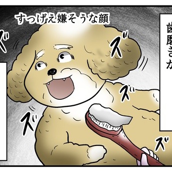 【犬】歯磨きが苦手ないぬを何とかする方法【PR】