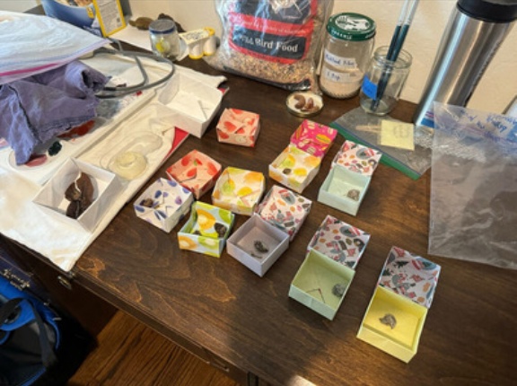 貴方の言う通りにいたします