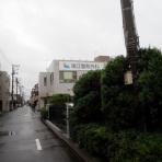 江戸川の畔（ほとり）