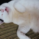 いしまつ・・・