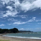 『15の質問(岡田耕作)』の画像