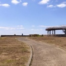 昨日はアカデミー賞があったのでボーっと見ていたが最後のクレジットタイトルにかかっていた曲がわからずＡＩに聞くもダメだった