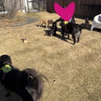 毎日女子会！～日々楽々～