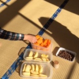 『【岩首地区】柿と林檎とカヤの実のおやつ』の画像