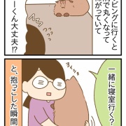 やるならせめて右腕に！雷と猫と私の左腕