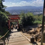 かるかんタイムズ