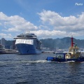 SPECTRUM OF THE SEAS #02