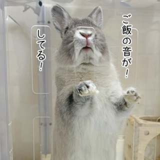 ブンチョ日誌
