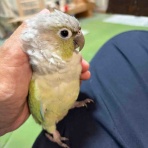 waka ⭐ のの＆のあ そしてぎずも