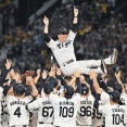 今年の阪神『球団初の連覇です』『生え抜き初の三冠王です』