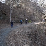 『浅川バス停から扇山へ　-大田峠見つからず大迂回-』の画像