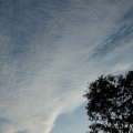 雲