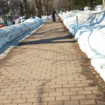 わんころろ日記