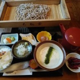 �ض�� �羾���ʤ����ޤĤ�˥����Ȥ������С�����������¿�ʼﴶ�� �ɿ�Ū��CP���������­�٤β���