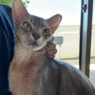 甘甘ボーイの抱っこで、家事が進まない