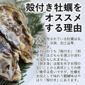 宮城県女川にて新規生牡蠣選別工場直営仮オープン