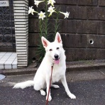 シェリーの寝言　～ずっと一緒～