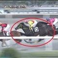 8/8 川崎 翡翠賞ダ1500m【ボールドポリシー《3戦目》】