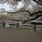 フランチャイズ地獄からの脱出  藤原義塾からの報告書