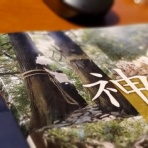 本物の無垢木材　～茨木市戸田材木店・セルバの木の虫ブログ～