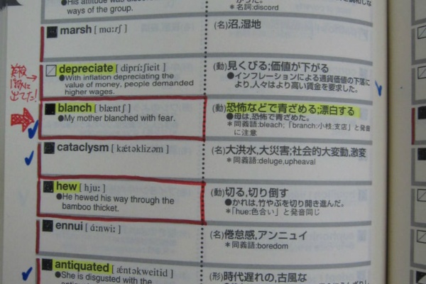 松山市の英会話教室ブログ 英検1級 Toeic990点 英語 英会話スクール March 19