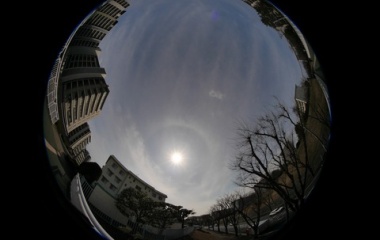 『今日のハロ　2020/02/29』の画像