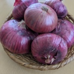ゆこぶーの食いしん坊万歳
