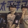日ハムの一塁コーチャー鶴岡ｗｗｗｗｗｗｗｗ