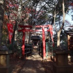 バテバテ山日記