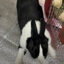 さぼっていたわけでは・・・