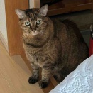 守山区のNちゃんHちゃん