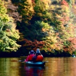 �ص����й��ե��̡��ĥ���ͽ������٤β���