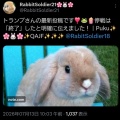 トランプ大統領のTruth Social 投稿集 ~ 2026 7/8-11