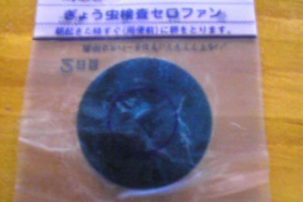 ぎょう虫検査 まな だいあり 彡