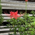 ときめき☆レーシング日記