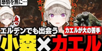 【ぶいすぽ】エルデンの世界でもカエルに出会いガチ叫びをするめっさん