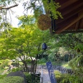 7月29日のお稽古ー行之行台子、茶箱卯の花