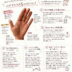 たかシェフのおうちごはん。と、白い犬。と、チワワ。