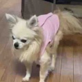小春さんファーストのつもりが・・・