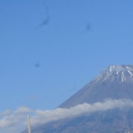 フラワーパーク in Mt.Fuji