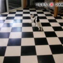 選26／ワックス