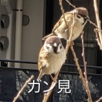 毎日がｘ（小確幸）ｘスペシャル