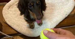 本日はお休み。