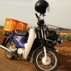 小作人の道楽日記